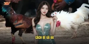 Cách bế gà đá