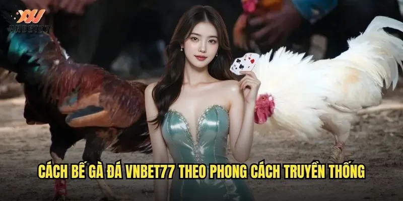 Cách bế gà đá vnbet77 theo phong cách truyền thống