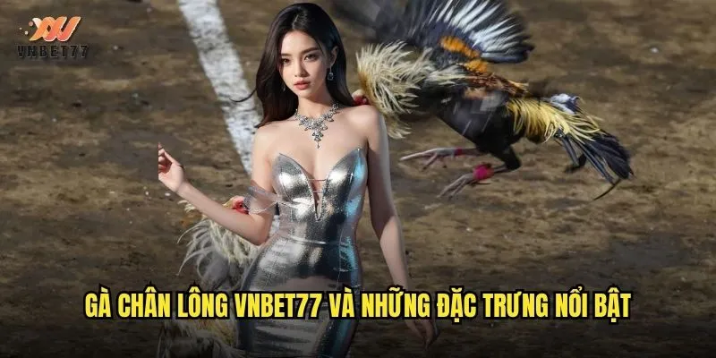 Gà Chân Lông vnbet77 Đặc Điểm Và Ưu Thế Trong Thi Đấu 2 Gà chân lông vnbet77 và những đặc trưng nổi bật