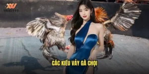 các kiểu vảy gà chọi