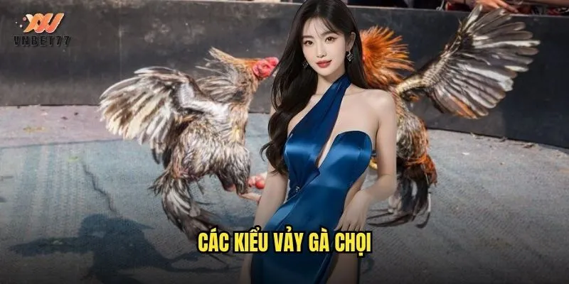 Các Kiểu Vảy Gà Chọi vnbet77 Phổ Biến Và Ưu Nhược Điểm 1 các kiểu vảy gà chọi