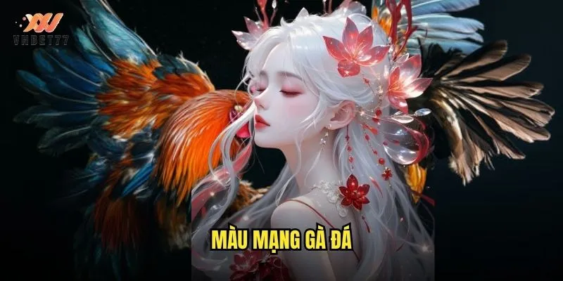 Màu Mạng Gà Đá vnbet77 Bí Mật Nhận Diện Chiến Kê Mạnh 1 màu mạng gà đá