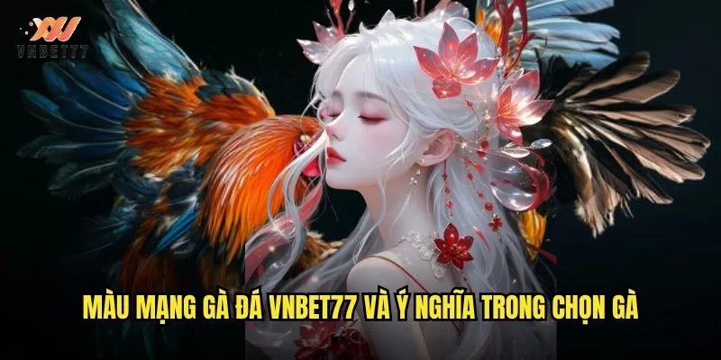Màu Mạng Gà Đá vnbet77 Bí Mật Nhận Diện Chiến Kê Mạnh 2 Màu mạng gà đá vnbet77 và ý nghĩa trong chọn gà