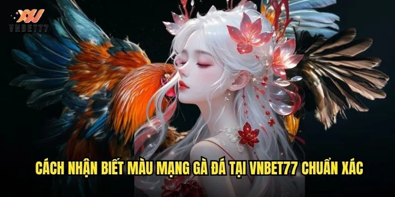 Màu Mạng Gà Đá vnbet77 Bí Mật Nhận Diện Chiến Kê Mạnh 3 Cách nhận biết màu mạng gà đá tại vnbet77 chuẩn xác