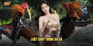 Luật Chấp Trong Đá Gà