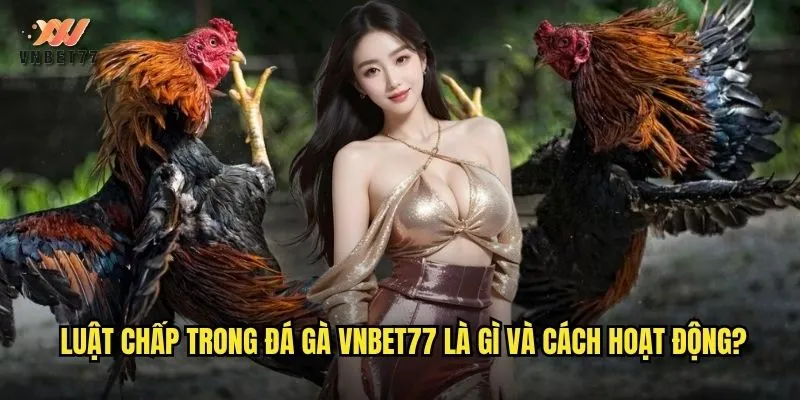 Luật Chấp Trong Đá Gà vnbet77 Chi Tiết Cho Người Chơi Mới 2 Luật chấp trong đá gà vnbet77 là gì và cách hoạt động?
