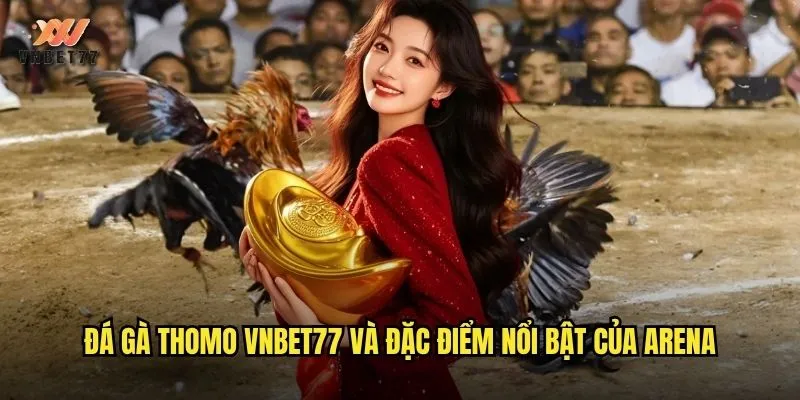 Đá Gà Thomo vnbet77 Trực Tiếp Chất Lượng Cao Mỗi Ngày 2 Đá gà Thomo vnbet77 và đặc điểm nổi bật của arena