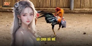 gà chọi đá mé