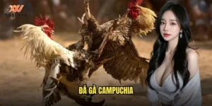 đá gà Campuchia