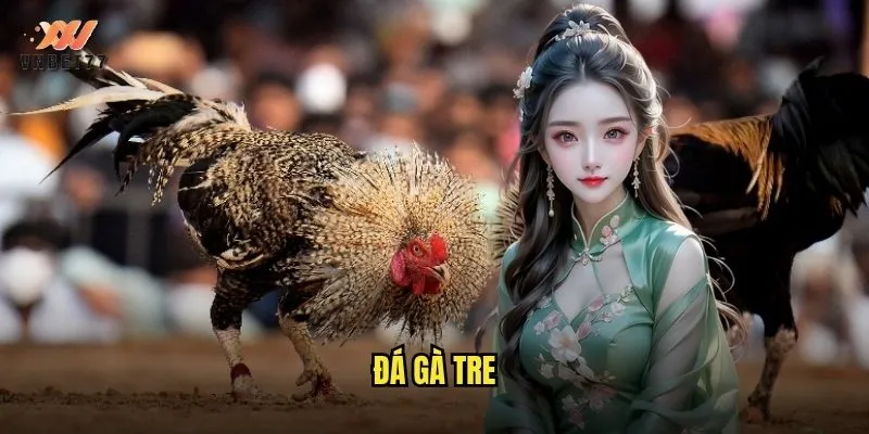 đá gà tre