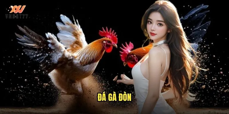Đá Gà Đòn vnbet77 Phong Cách Chiến Đấu Đầy Kịch Tính 1 đá gà đòn