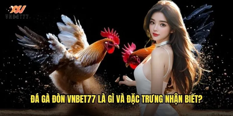Đá Gà Đòn vnbet77 Phong Cách Chiến Đấu Đầy Kịch Tính 2 Đá gà đòn vnbet77 là gì và đặc trưng nhận biết?