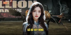 gà đá vảy rồng