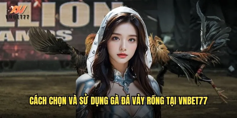 Gà Đá Vảy Rồng vnbet77 Loại Vảy Sắc Bén Đáng Sợ Nhất 3 Cách chọn và sử dụng gà đá vảy rồng tại vnbet77