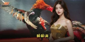 đá gà lai