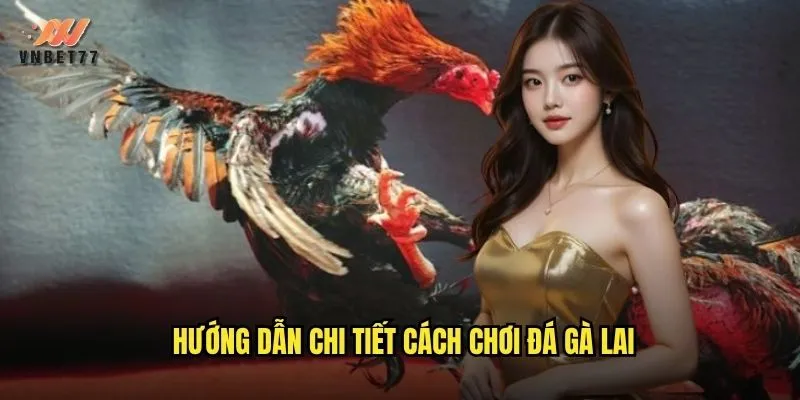 Đá Gà Lai vnbet77 - Trải Nghiệm Sân Chơi Đỉnh Cao Cho Dân Mê Gà Chọi 3 Hướng dẫn chi tiết cách chơi đá gà lai