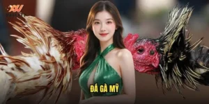 đá gà Mỹ