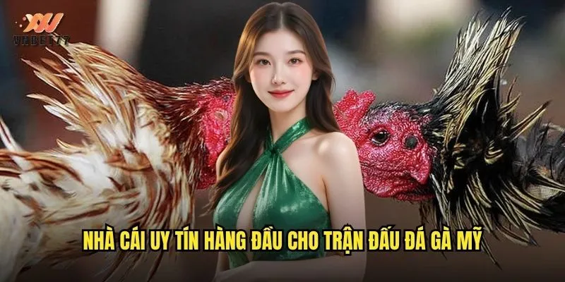 vnbet77 Đá Gà Mỹ: Trải Nghiệm Cá Cược Với Tỷ Lệ Thưởng Siêu Khủng 3 Nhà cái uy tín hàng đầu cho trận đấu đá gà Mỹ