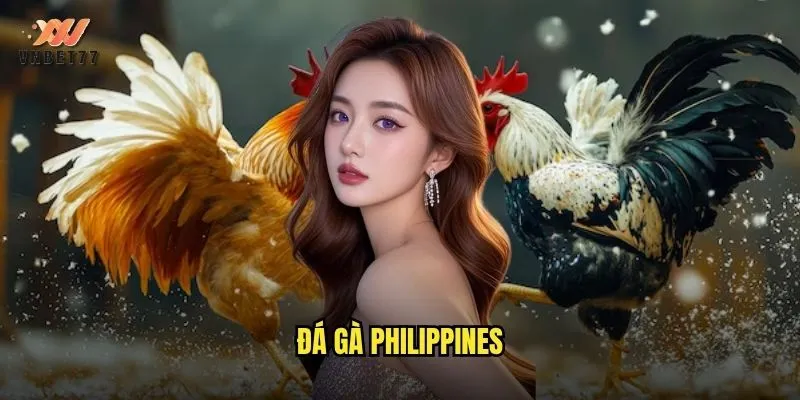 Đá Gà Philippines vnbet77 Nơi Hội Tụ Những Trận Đấu Kịch Tính Nhất 1 đá gà Philippines