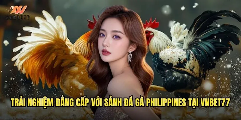 Đá Gà Philippines vnbet77 Nơi Hội Tụ Những Trận Đấu Kịch Tính Nhất 3 Trải nghiệm đẳng cấp với sảnh đá gà Philippines tại vnbet77
